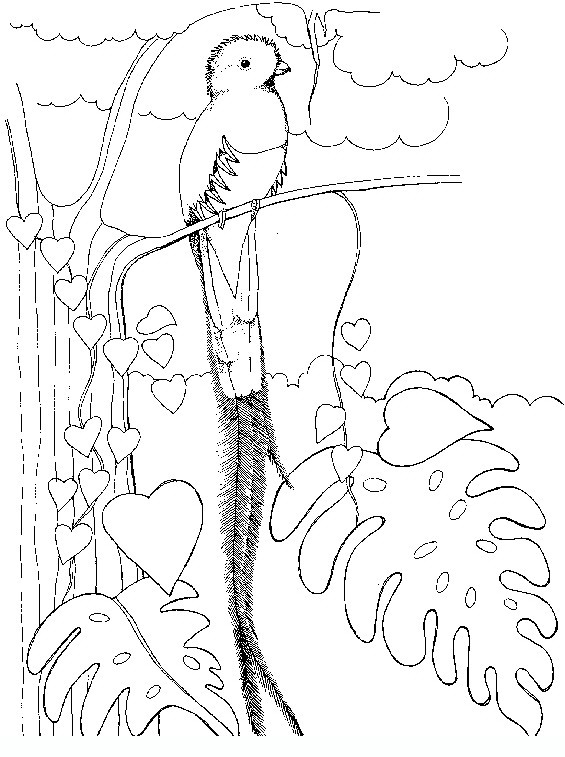 birds_3 Teenagers coloring pages