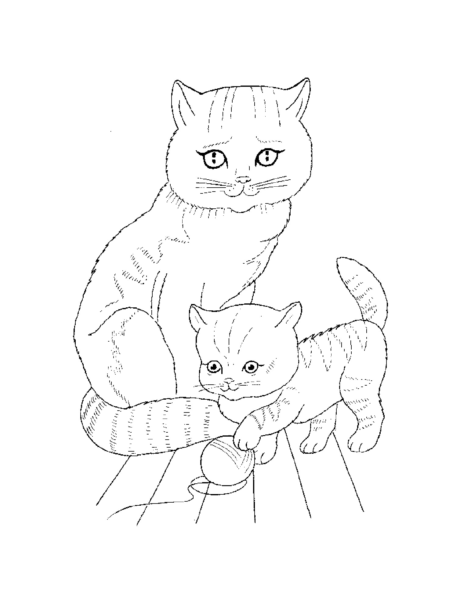 cats_2 Cats coloring pages for teens and adults