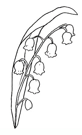 Lily_Of_The_Valley Flowers coloring pages